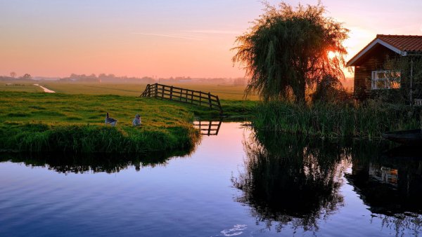 Природа деревня