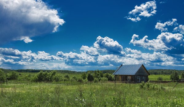 Деревенская природа