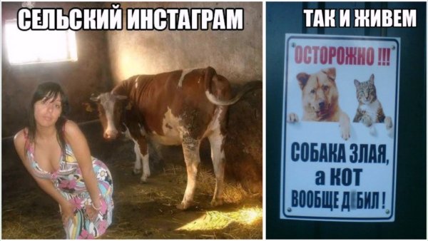 Ржач до слез с надписями