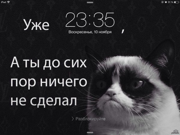 Обои с прикольными фразами