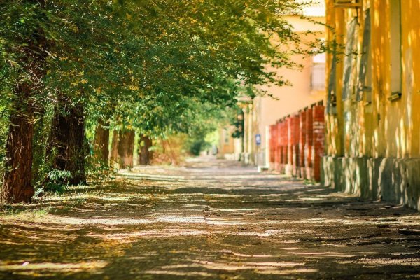 Солнечный летний день в городе