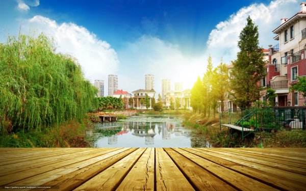 Лето солнце город