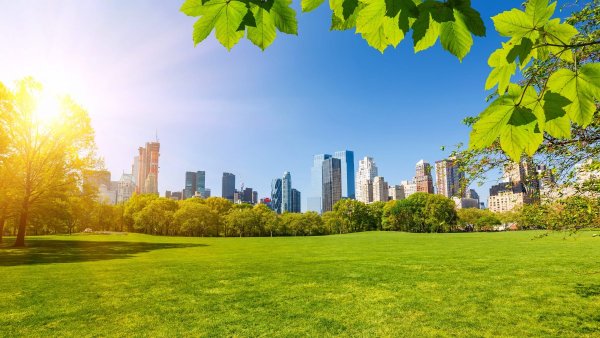 Летний день в городе