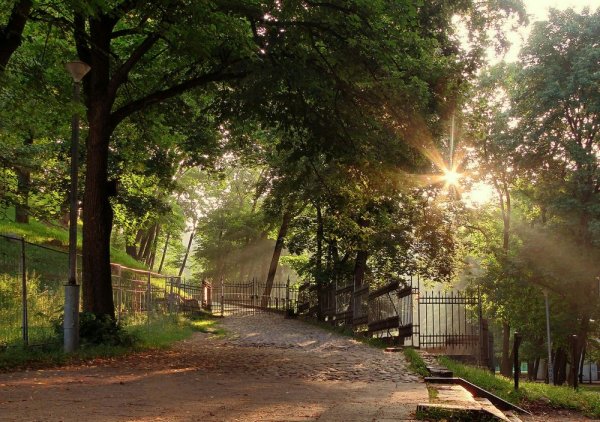 Солнечная улица в парке