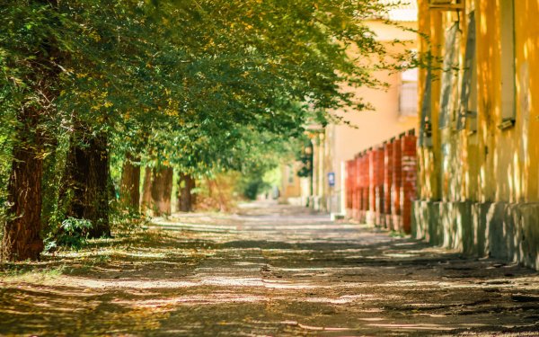 Солнечный летний день в городе