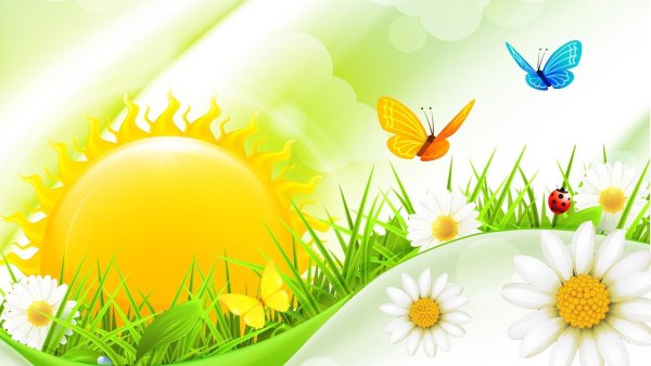 Фон лето для детей