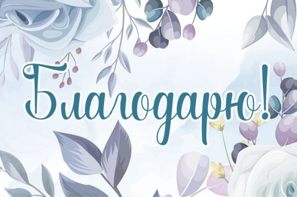 Благодарю надписи