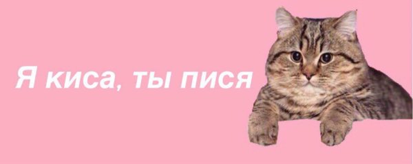 Киса надпись