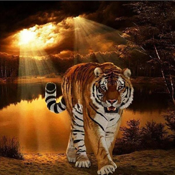 Тигр анимация