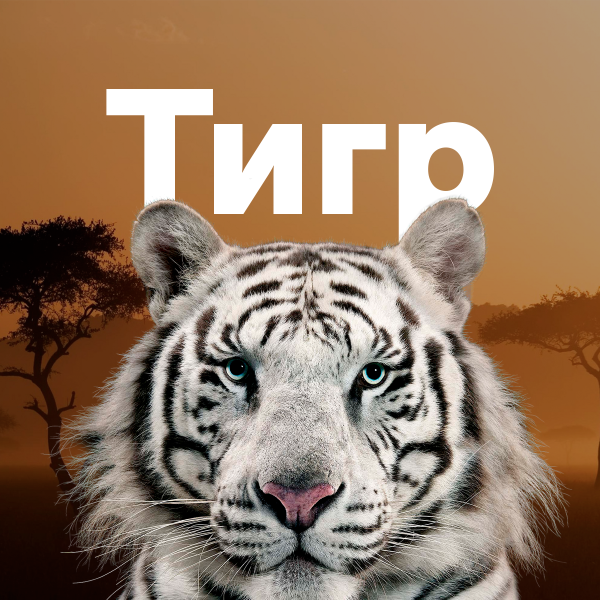 Я тебя люблю тигр