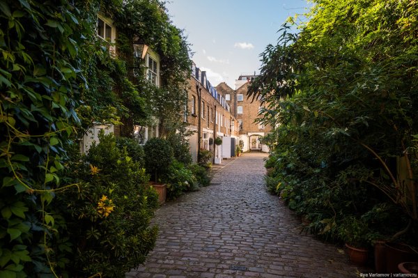 Тихая улочка