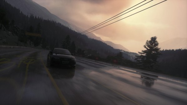 Машина в туманном лесу