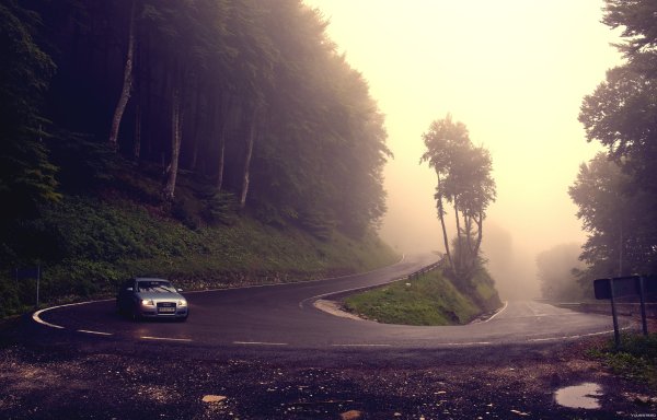 Туман дорога машина