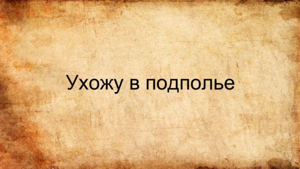 Ушел в подполье