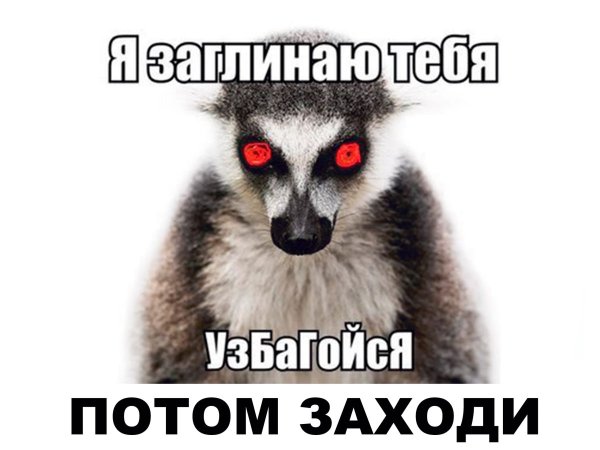 Узбагойся прикол