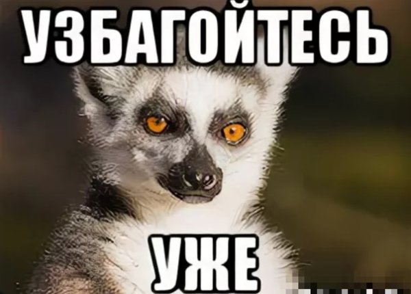 Узбагойтесь уже