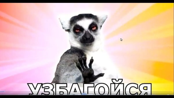 Узбагойся мемы