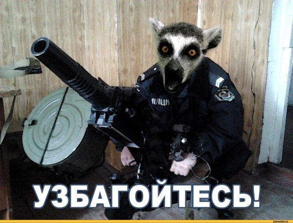 Фото успокойся прикольная