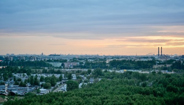 Вид из окна