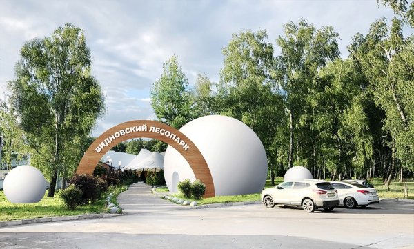 Видновский лесопарк Видное