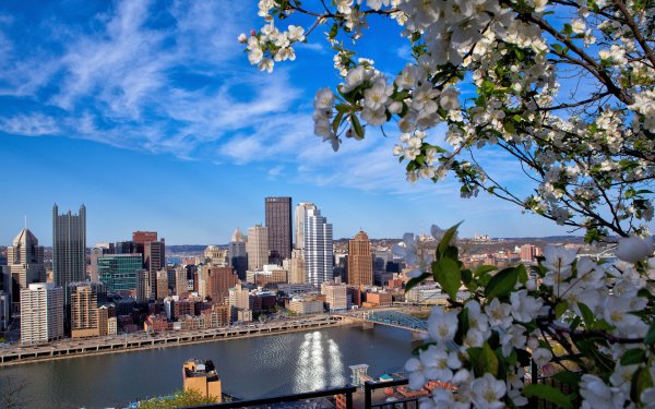 Природа штата Нью Йорк