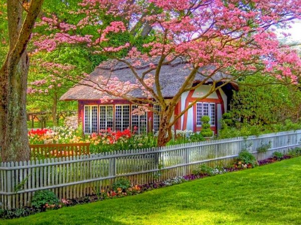 Домик с цветущим садом