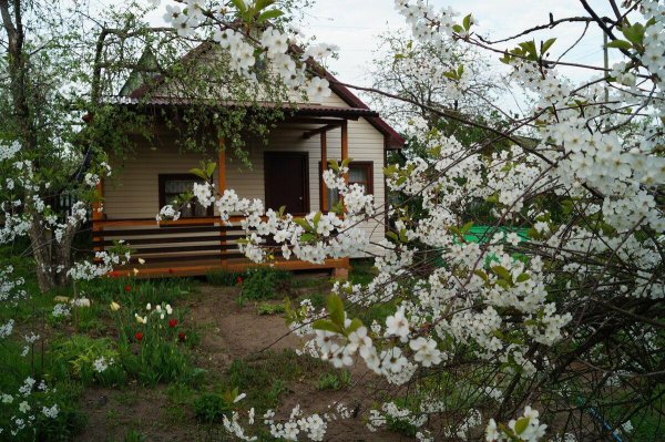 Домик в деревне с садом