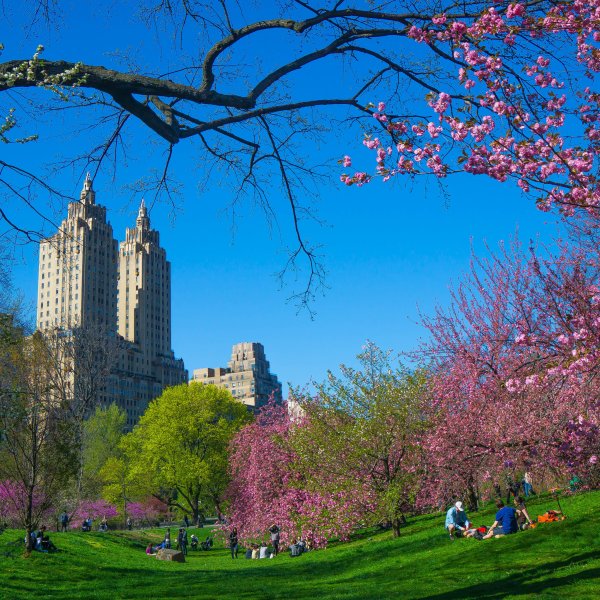 Центральный парк Нью-Йорк