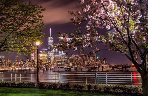 Ночной парк Нью Йорка