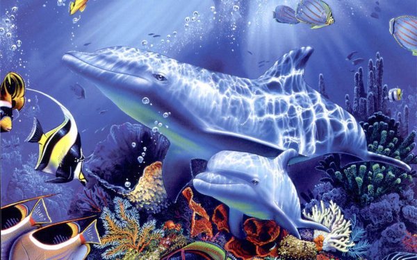 Стерео-Варио 3д