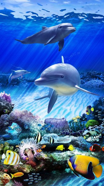 Морской мир