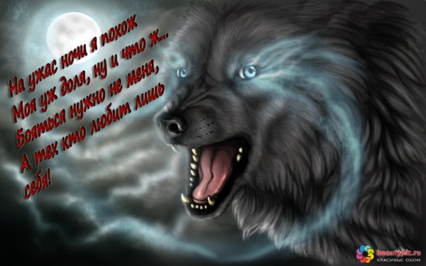 Волк с надписью