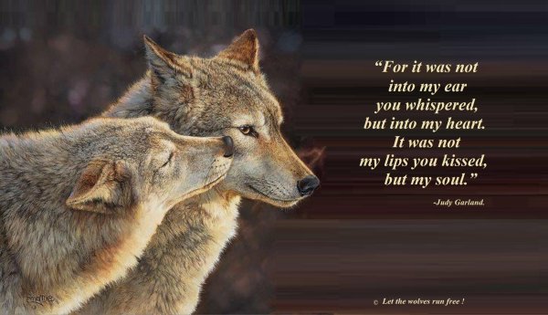 Мудрость волка с надписями