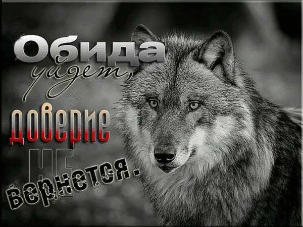 Одинокий волк с надписью