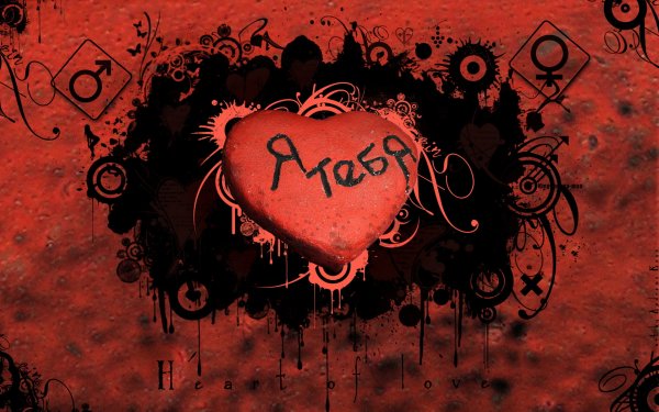 Обои любовь