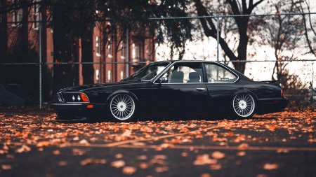 BMW e24 черный