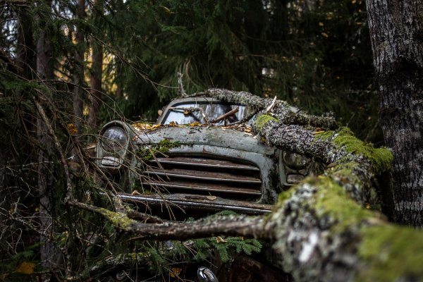 Заброшенные автомобили в лесу