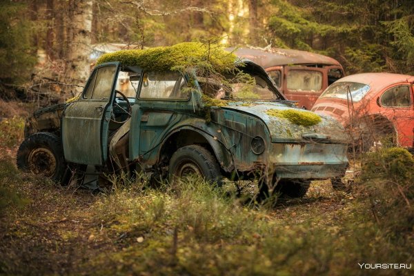 Брошенные автомобили в лесу