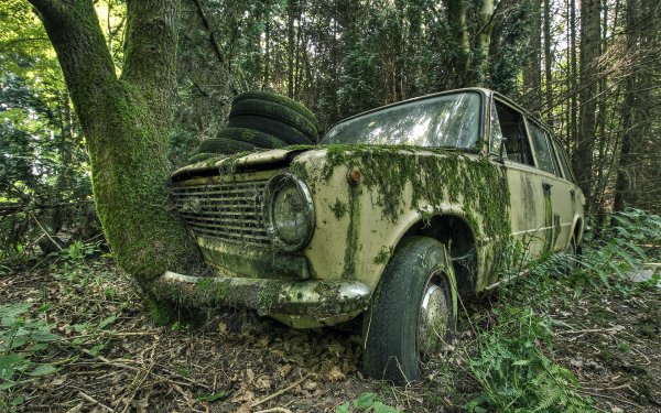 Заброшенный ВАЗ 2102