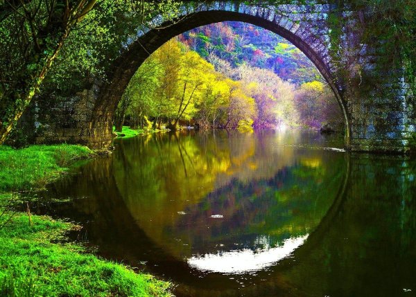 Зеркальное отражение в природе