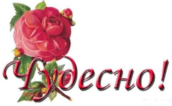 Открытки с надписью очень красиво