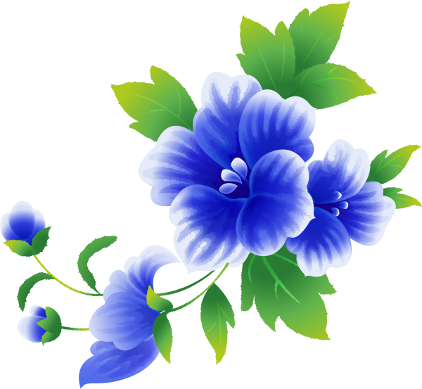 Картинки цветы на прозрачном фоне