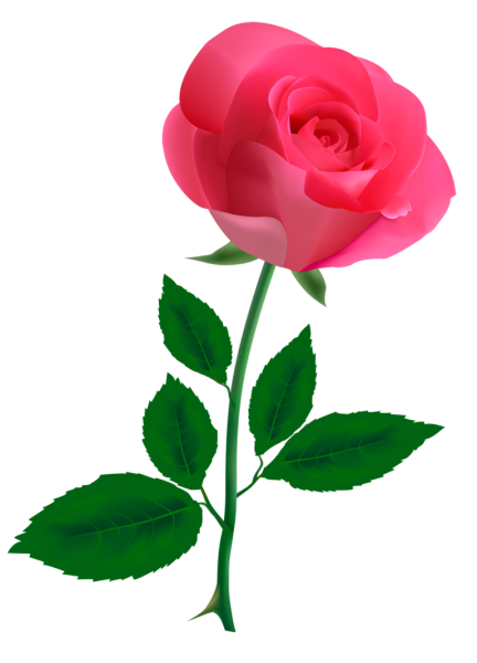 Цветы одиночные