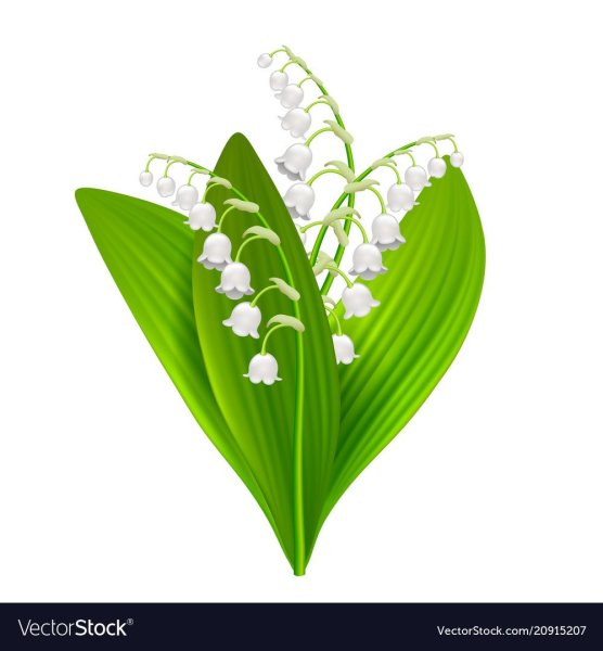 Ландыш мультяшный