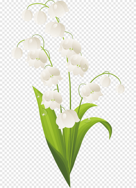 Весенние цветы на белом фоне