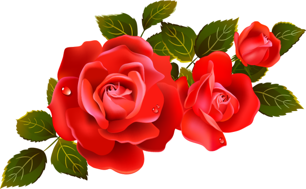 Цветики на прозрачном фоне