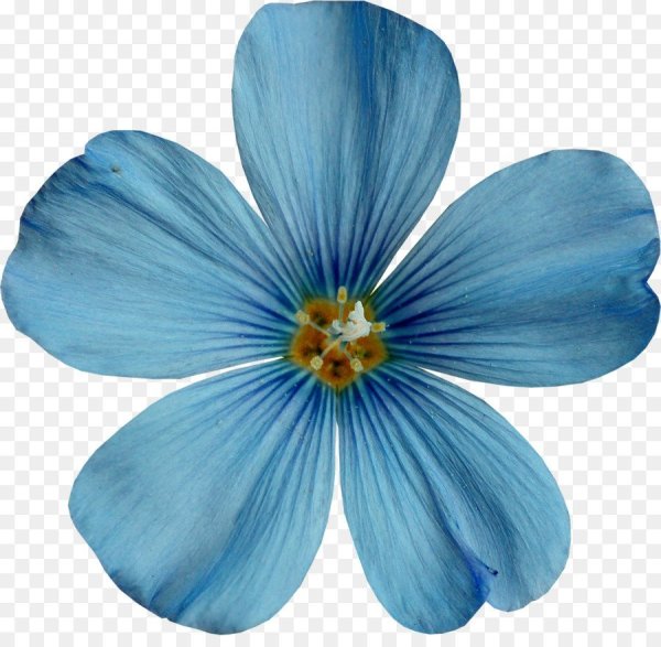 Цветочки на белом фоне