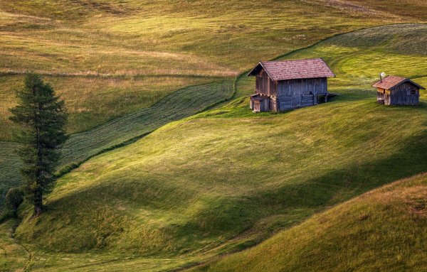 Одинокий дом