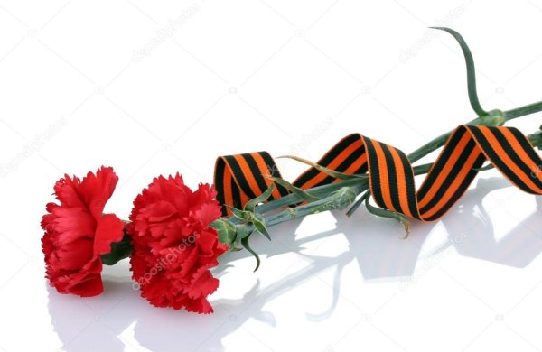 Гвоздики с лентой