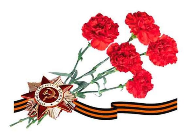 Гвоздика на белом фоне с георгиевской лентой
